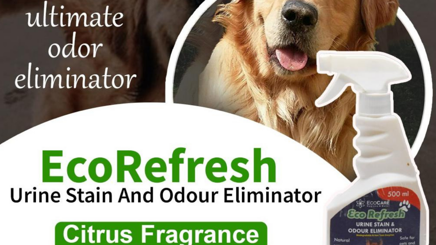 PET odor remover