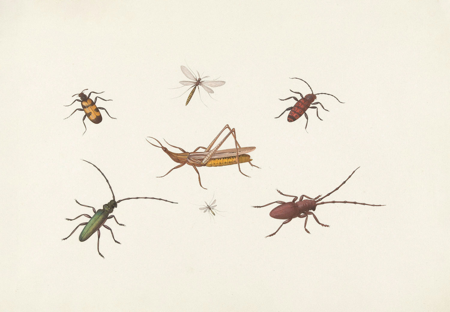 Pest & Repellent Sprays