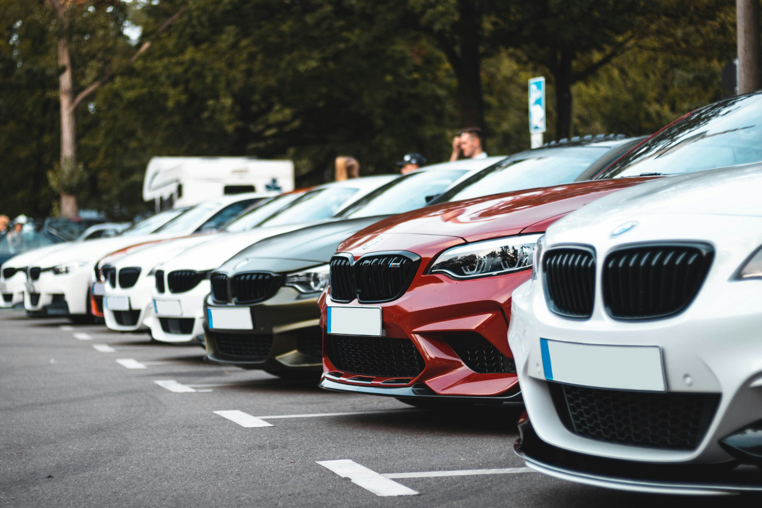 Car & Vehicle Care