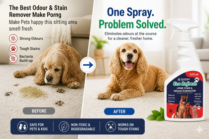 EcoCare Eco Refresh Urine Stain & Odour Eliminator Spray (500ml)