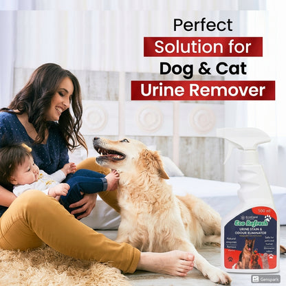 EcoCare Eco Refresh Urine Stain & Odour Eliminator Spray (500ml)